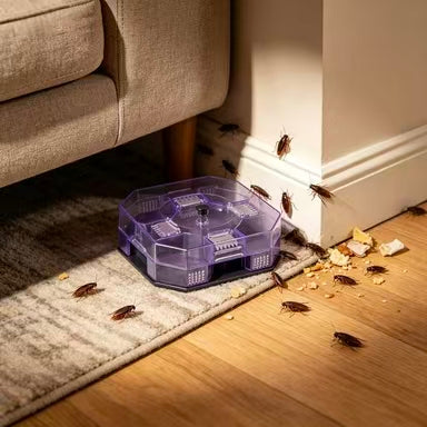 Eco-Friendly Reusable Roach Trap