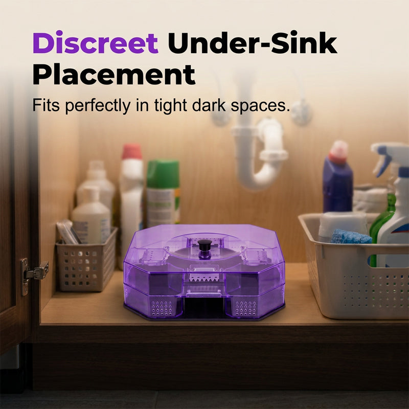 Eco-Friendly Reusable Roach Trap