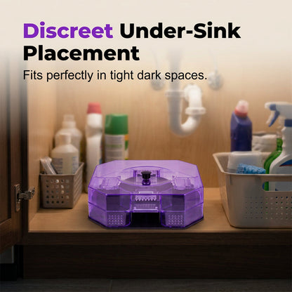 Eco-Friendly Reusable Roach Trap